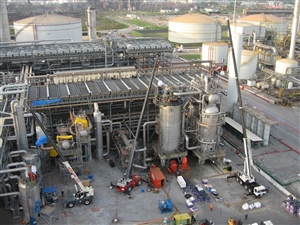 Site Set Up and Organization