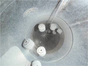 Catalyst Dense Loading